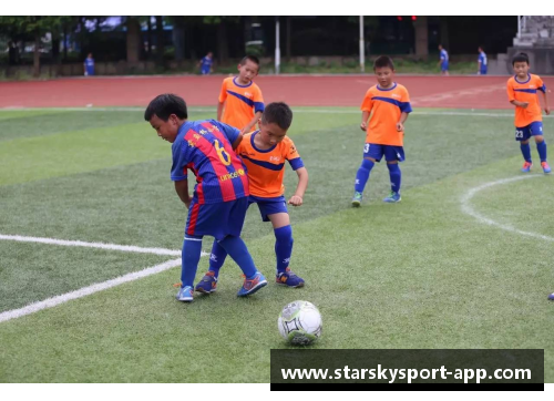 华裔球场之星：跨文化融合与球技辉映