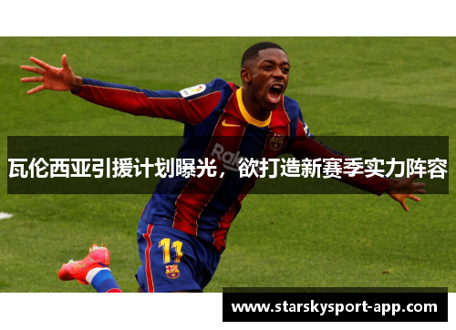 瓦伦西亚引援计划曝光，欲打造新赛季实力阵容